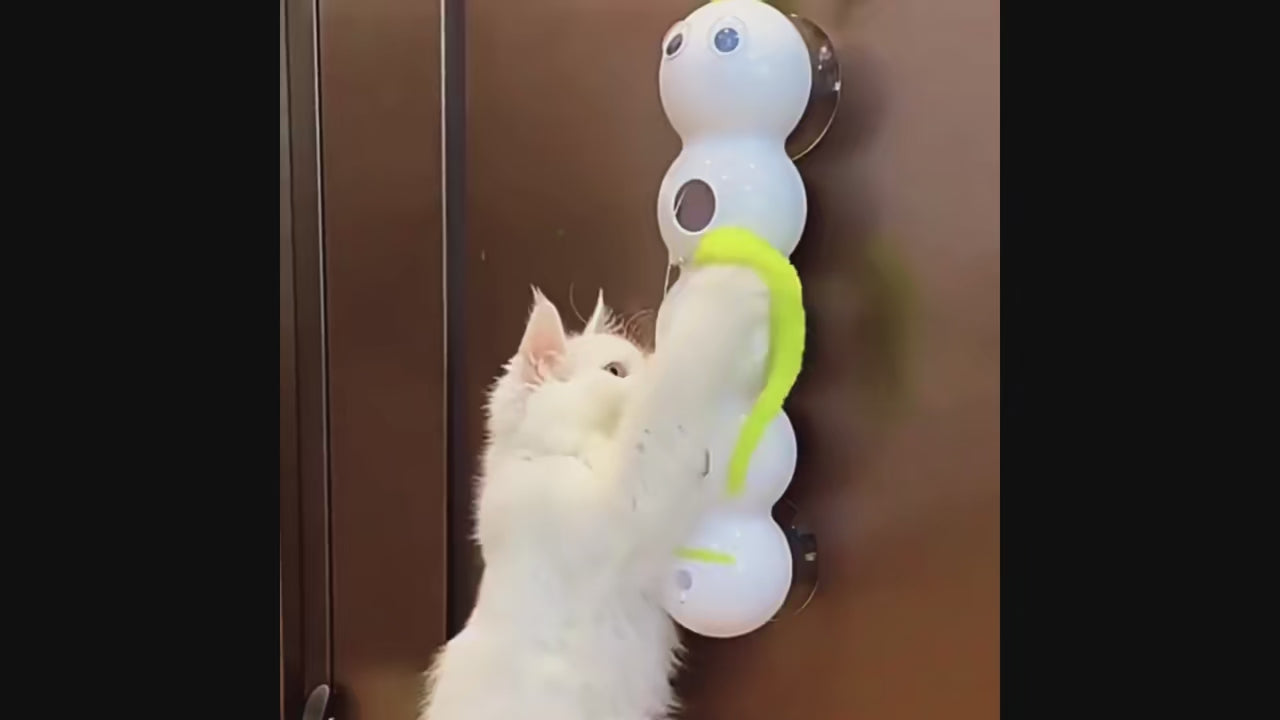 Cat Stick Pro – Il primo gioco dotato di intelligenza artificiale per Gatti